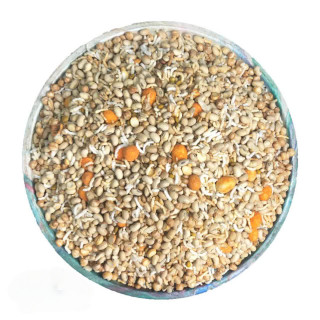 آجیل سبک (برنجک مخلوط)